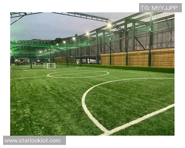 扬州笼式足球的魅力与发展探索助力城市体育文化新风尚